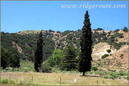 Lebec Lodge Today